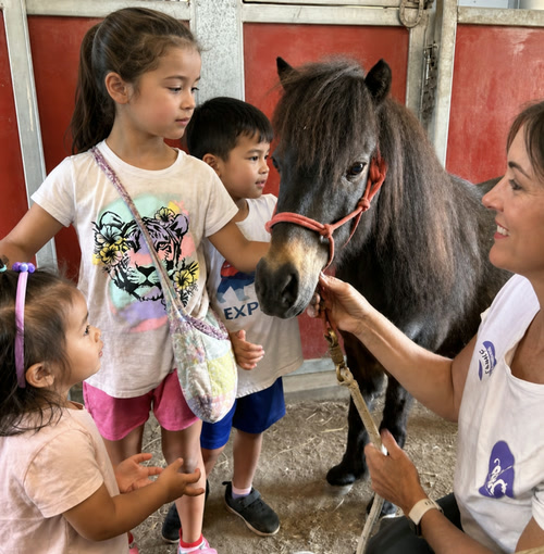 Kids exploring nature with critters