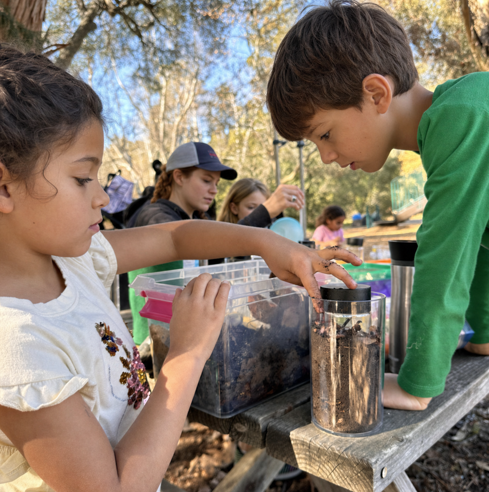 A child's hands carefully scattering tiny chia seeds over damp soil.